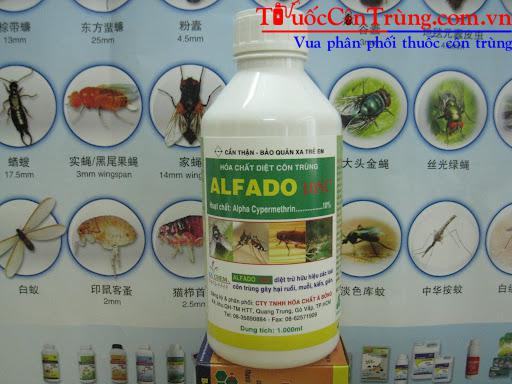 Pest Shop