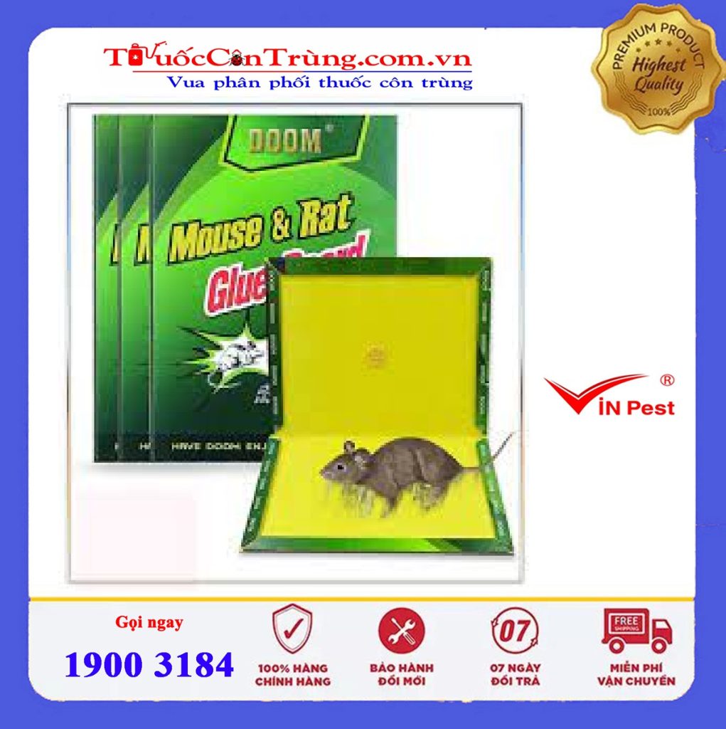 Pest Shop