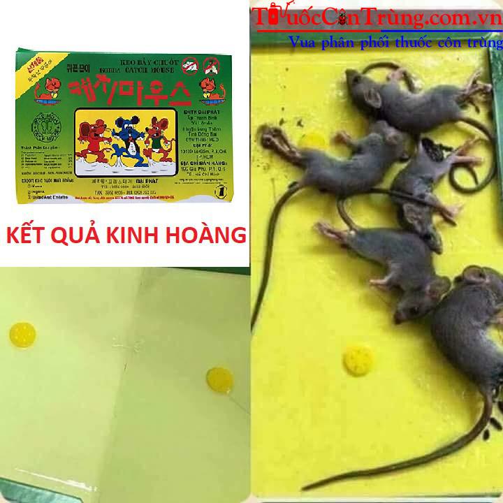 Pest Shop