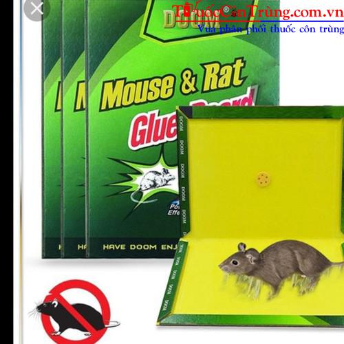 Pest Shop