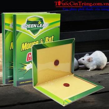 Pest Shop