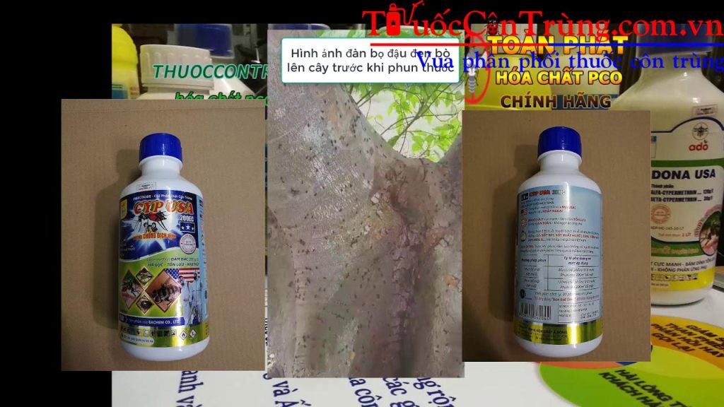 Pest Shop