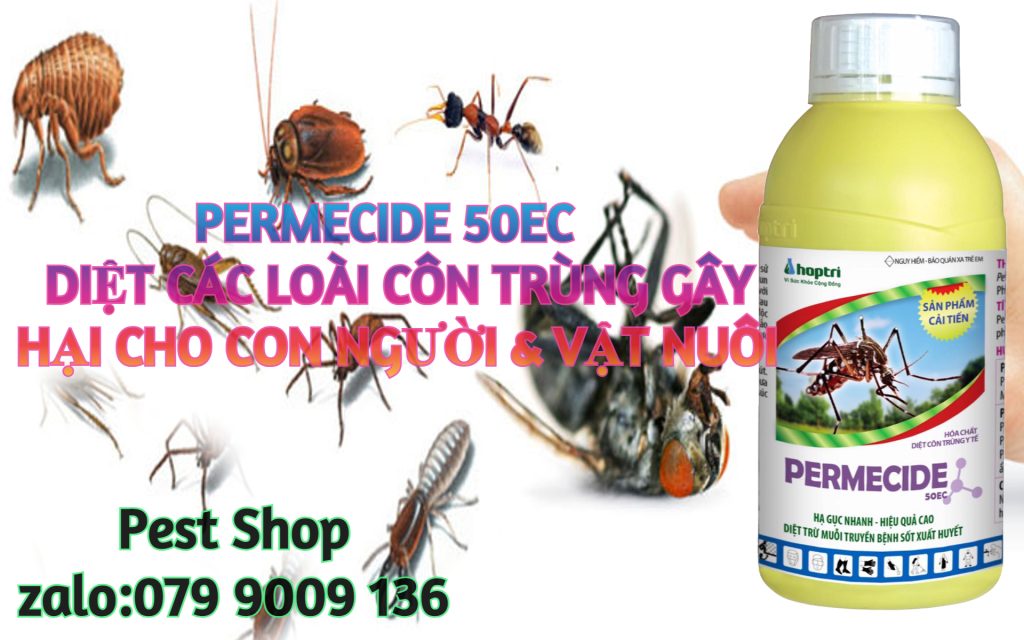 Pest Shop