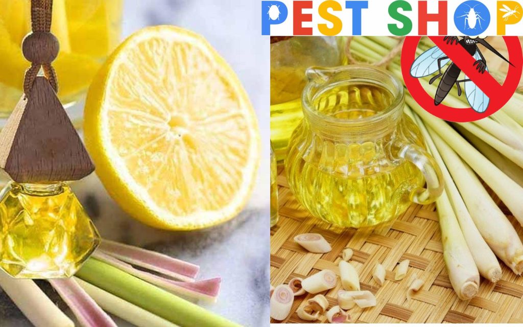 Pest Shop