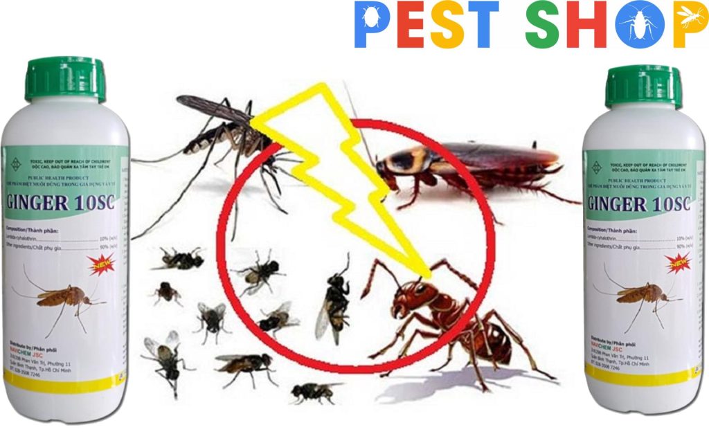 Pest Shop