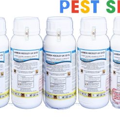 LAMBDA HOCKLEY UK 10CS giá Rẻ