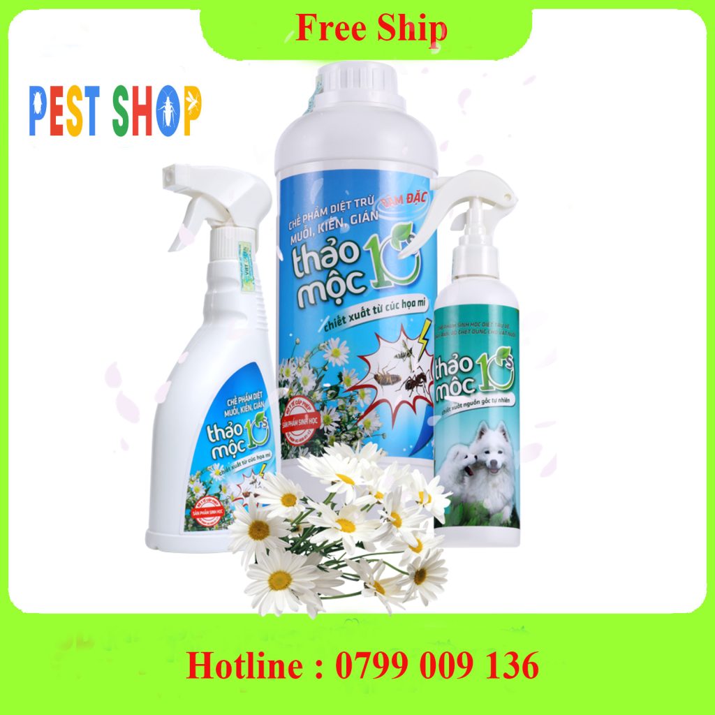Thảo mộc 10s trị côn trùng