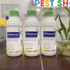 Thuốc diệt mối công trình giá rẻ Map Boxer 30EC