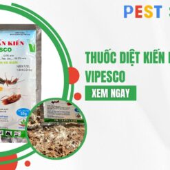 thuốc diệt kiến dạng bột