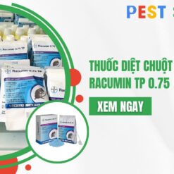 thuốc diệt chuột dạng bột