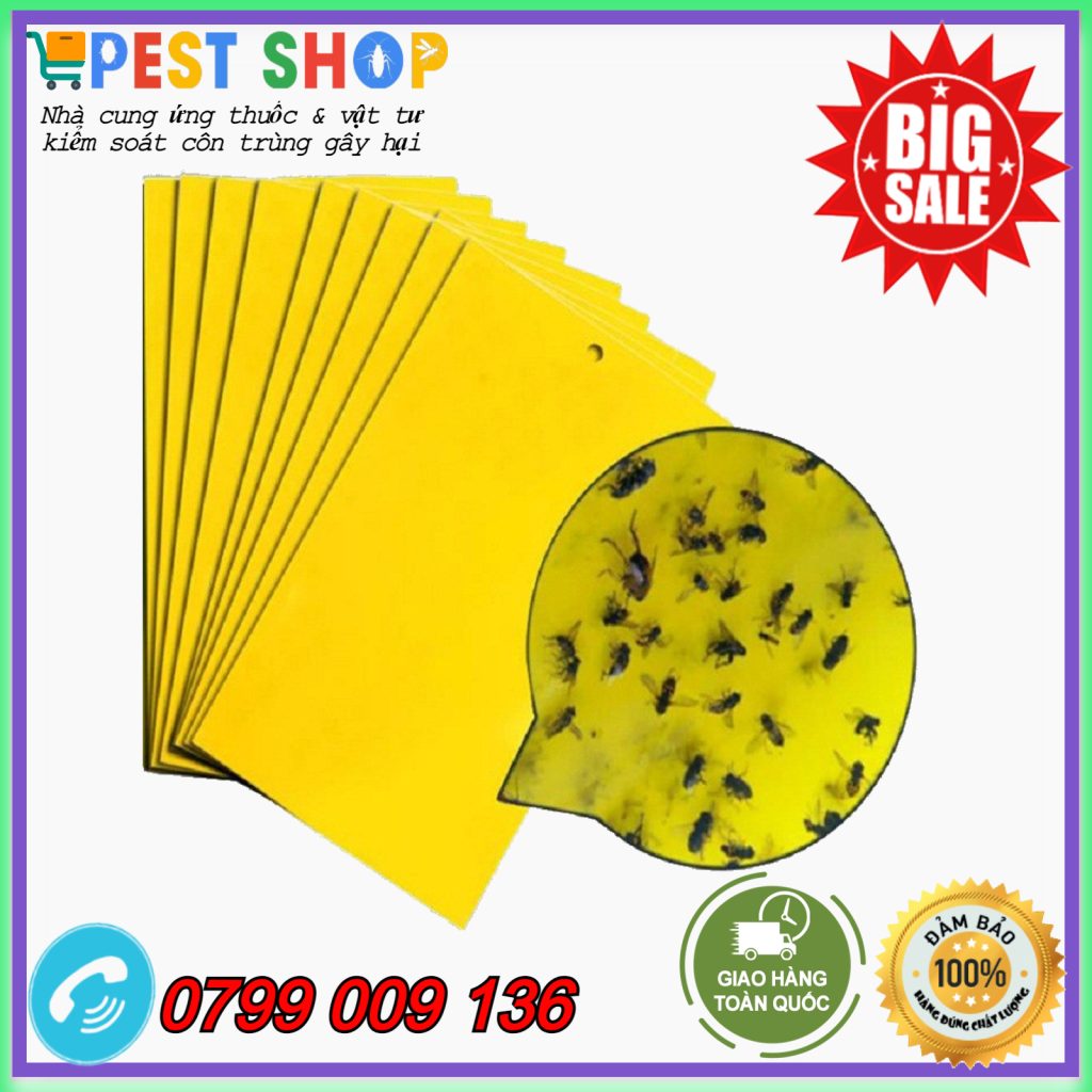Pest Shop