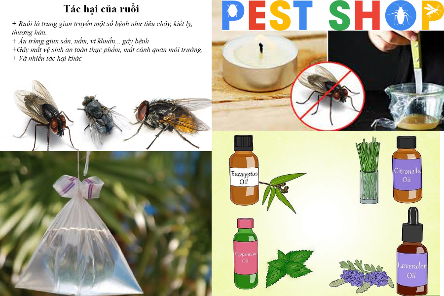 Pest Shop