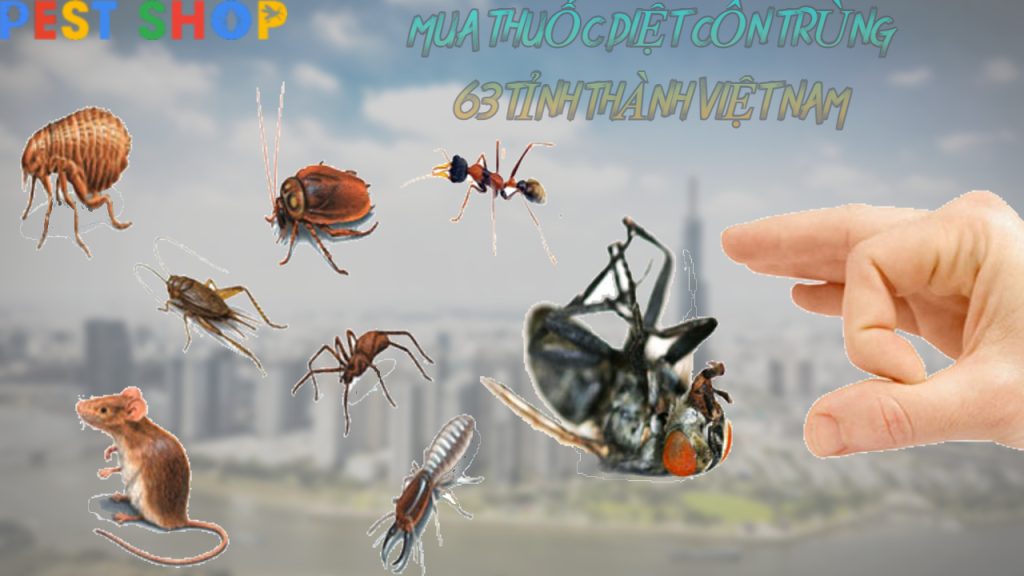 Pest Shop