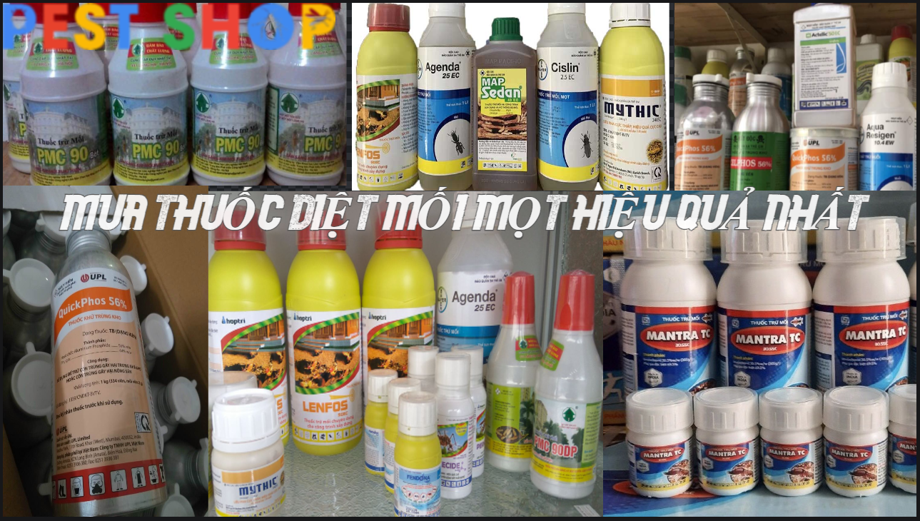 Mua thuốc diệt mối mọt hiệu quả nhất