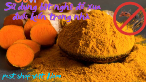 Cách sử dụng xà phòng để xua đuổi kiến trong nhà (1)