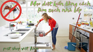 Mẹo diệt kiến bằng cách làm sạch nhà bếp