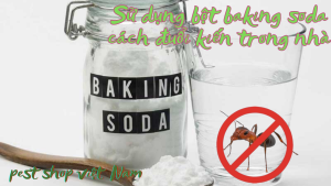 Sử dụng bột baking soda cách đuổi kiến trong nhà