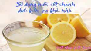 Sử dụng nước cốt chanh đuổi kiến ra khỏi nhà