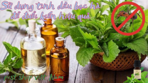 Sử dụng tinh dầu bạc hà để đuổi kiến hiệu quả