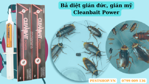 Bả diệt gián đức, gián mỹ Cleanbait Power