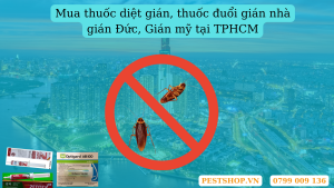 Mua thuốc diệt gián, thuốc đuổi gián nhà gián Đức, Gián mỹ tại TPHCM