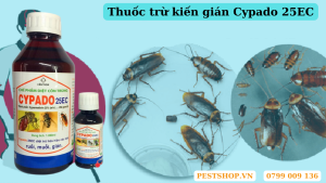 Thuốc trừ kiến gián Cypado 25EC
