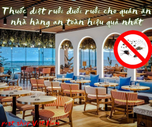 thuốc diệt ruồi cho quán ăn