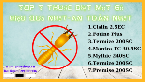 Thuốc diệt mọt gỗ
