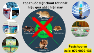 Thuốc diệt chuột tốt nhất