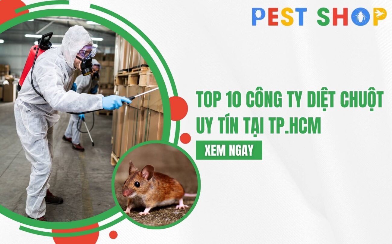 công ty diệt chuột