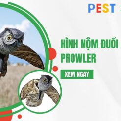 hình nộm đuổi chim