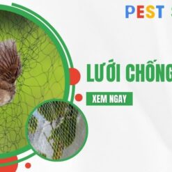 lưới chống chim