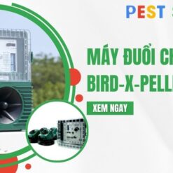 máy đuổi chim