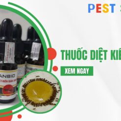 thuốc diệt kiến anbio
