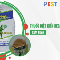 thuốc diệt kiến regent