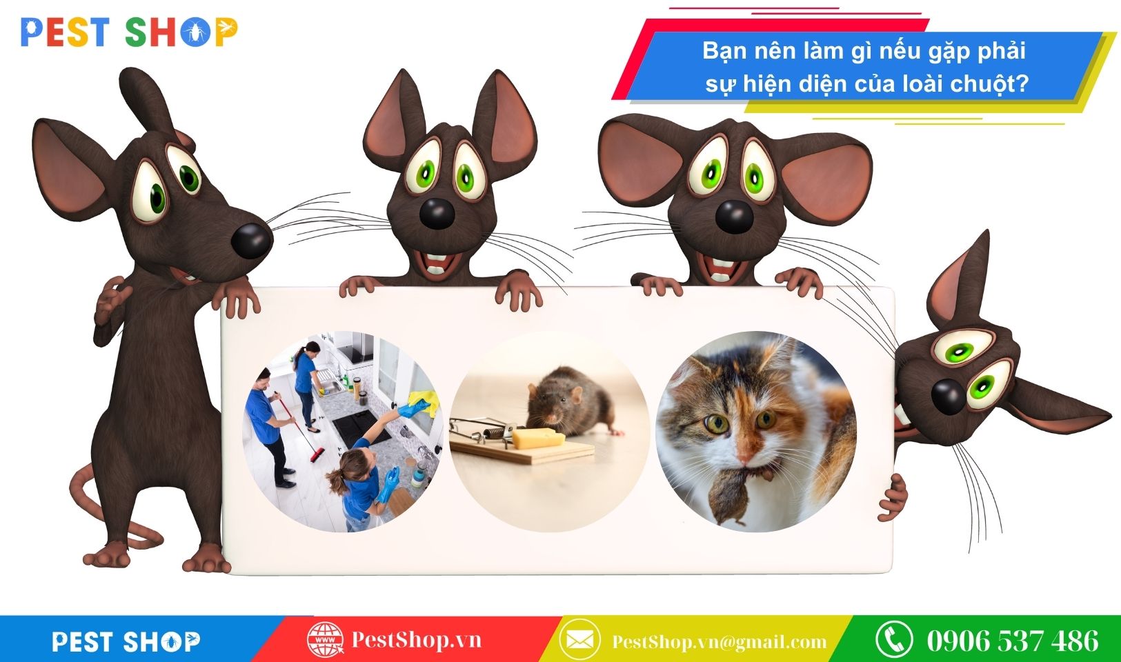 phan-loai-va-nhan-dang-cac-loai-chuot-pho-bien-nhat-o-viet-nam-6