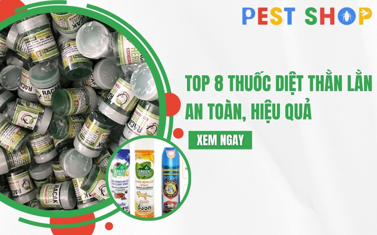 thuốc diệt thằn lằn