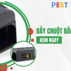bẫy chuột bằng điện