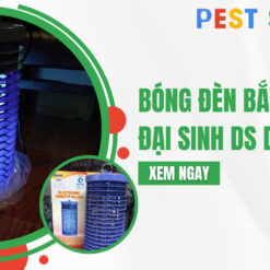 bóng đèn bắt muỗi