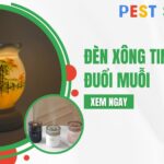 đèn xông tinh dầu đuổi muỗi