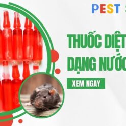 thuốc diệt chuột dạng nước