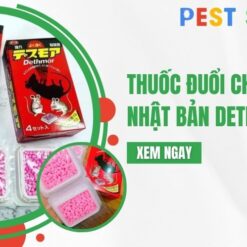 thuốc diệt chuột nhật bản