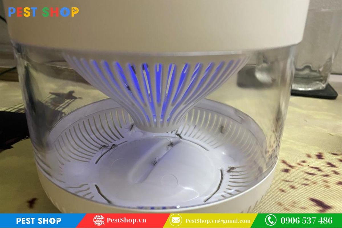 đèn bắt muỗi