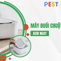 máy đuổi chuột xiaomi