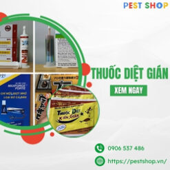Thuốc Diệt gián
