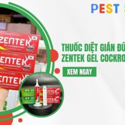 thuốc diệt gián đức