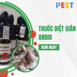 thuốc diệt gián sinh học