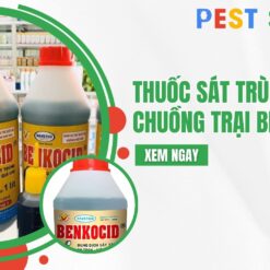 thuốc sát trùng chuồng trại benkocid