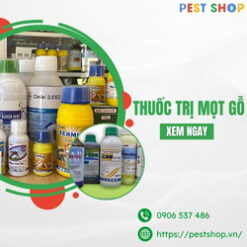 Thuốc Diệt mọt