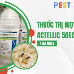 thuốc trị mọt lúa